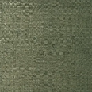 Thibaut Bankun Raffia in Forest (T14513)