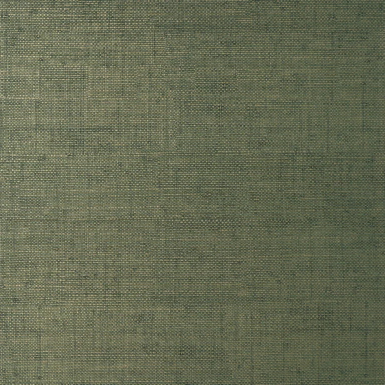 Thibaut Bankun Raffia in Forest (T14513)