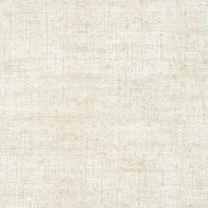 Thibaut Bankun Raffia in Oyster (T14510)