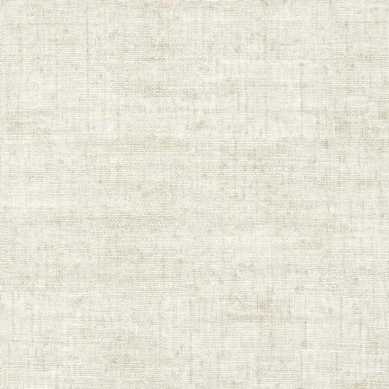 Thibaut Bankun Raffia in Oyster (T14510)