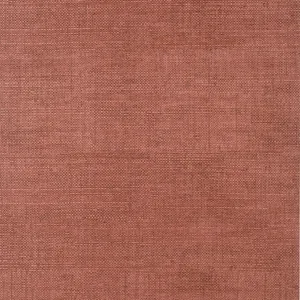Thibaut Bankun Raffia in Red (T14516)