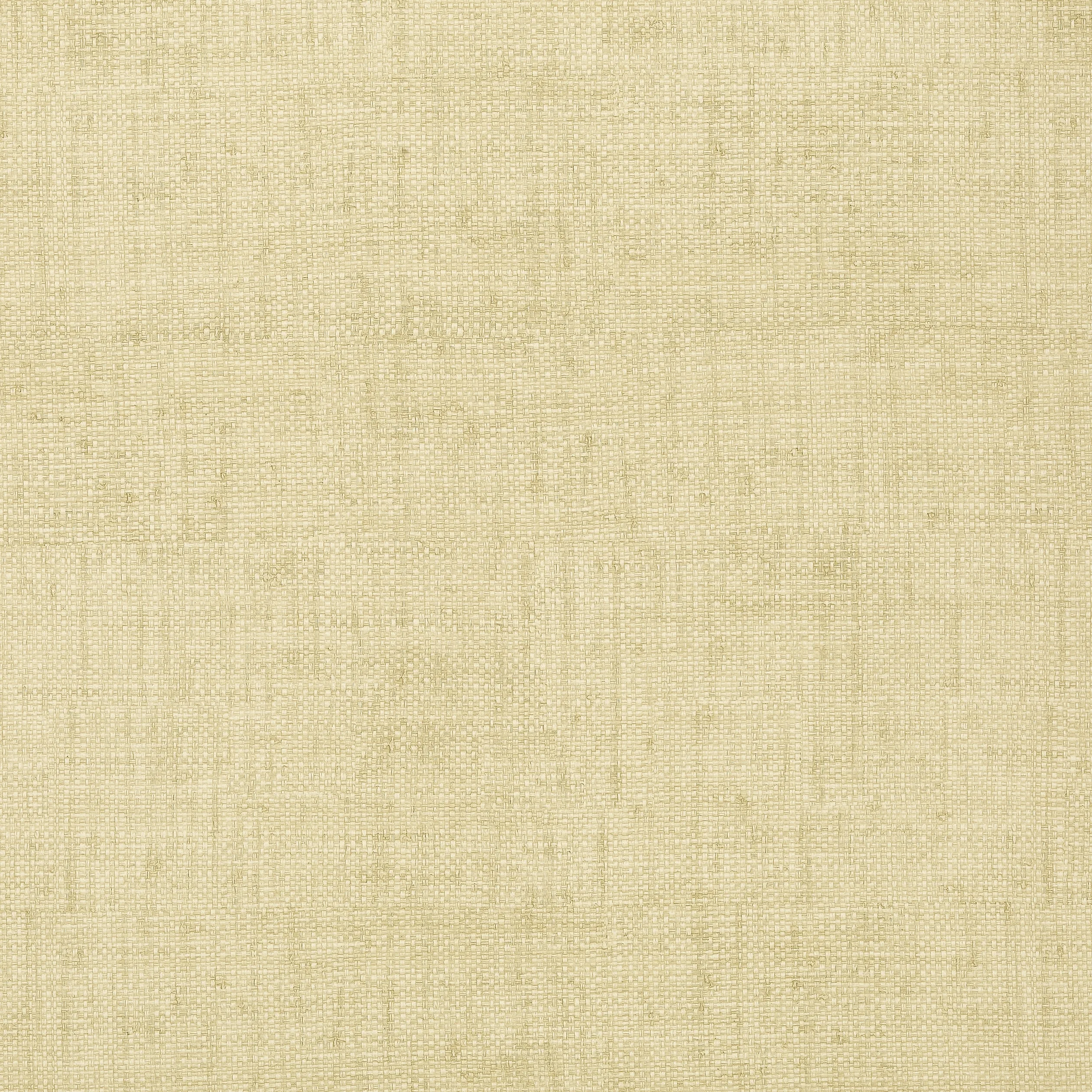 T6812 | Bankun Raffia – Sand