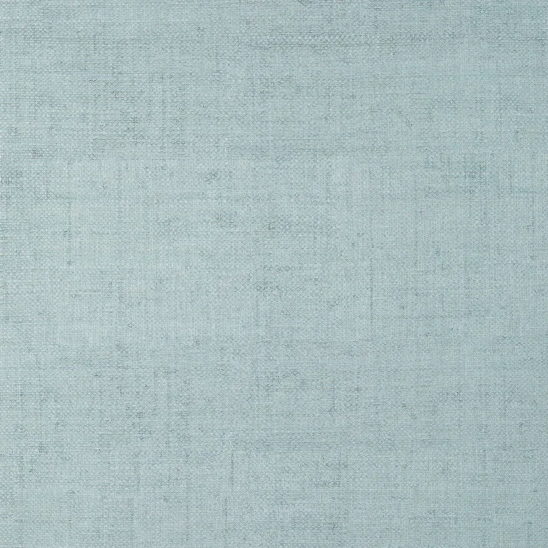 Thibaut Bankun Raffia in Spa Blue (T14519)