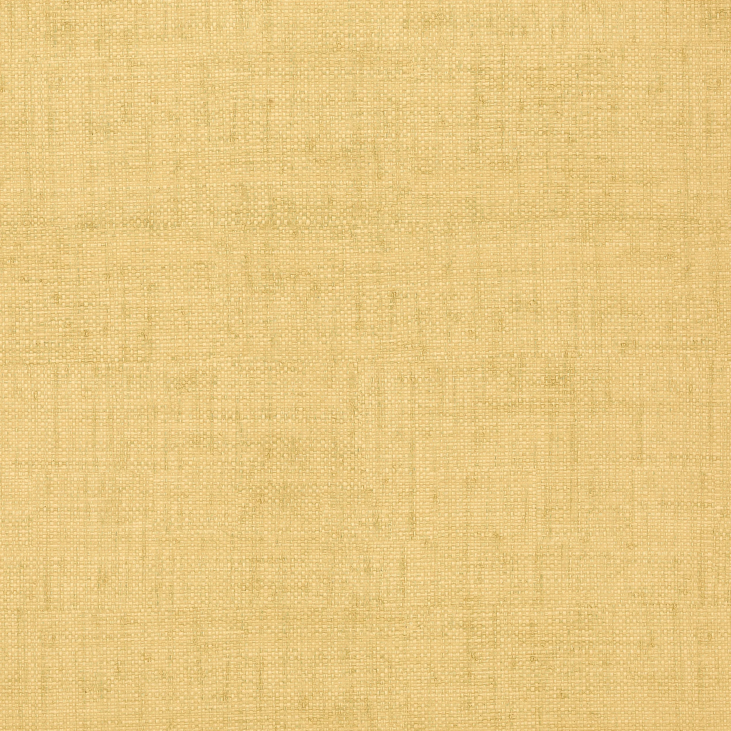 T6813 | Bankun Raffia – Straw