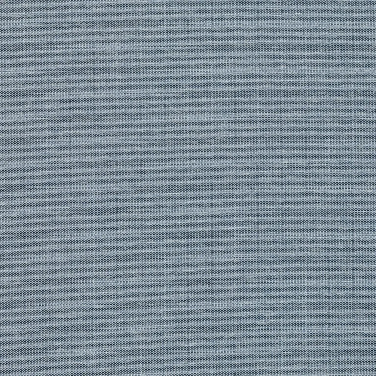 Thibaut Benfield in Blue (TWW365)