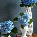 TWW365 | Benfield - Blue Thibaut Benfield in Blue (TWW365)