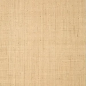 Thibaut Bethany Raffia in Natural (T19600)