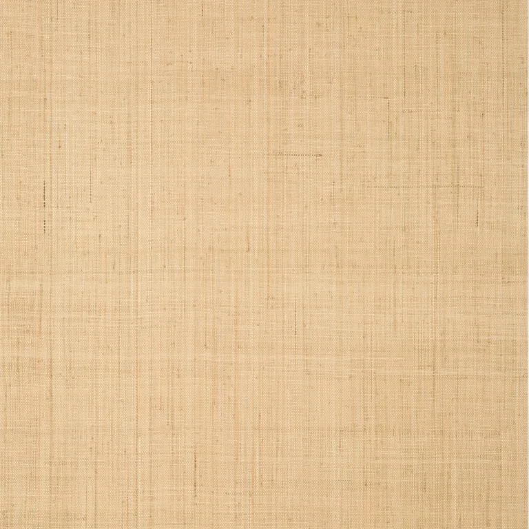 Thibaut Bethany Raffia in Natural (T19600)