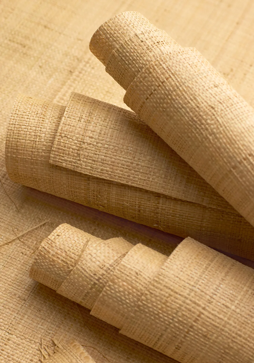 Thibaut Bethany Raffia in Natural (T19600)