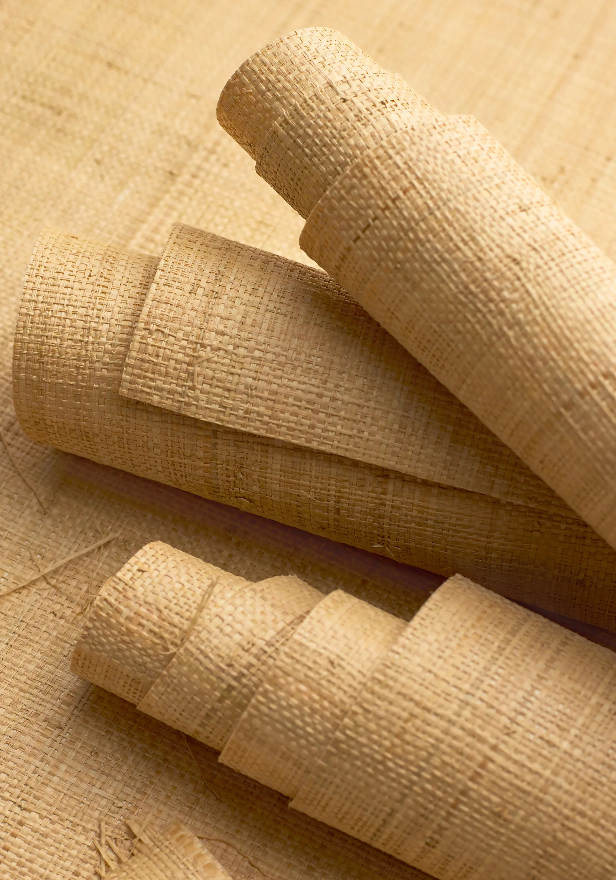 T19600 | Bethany Raffia - Natural Thibaut Bethany Raffia in Natural (T19600)