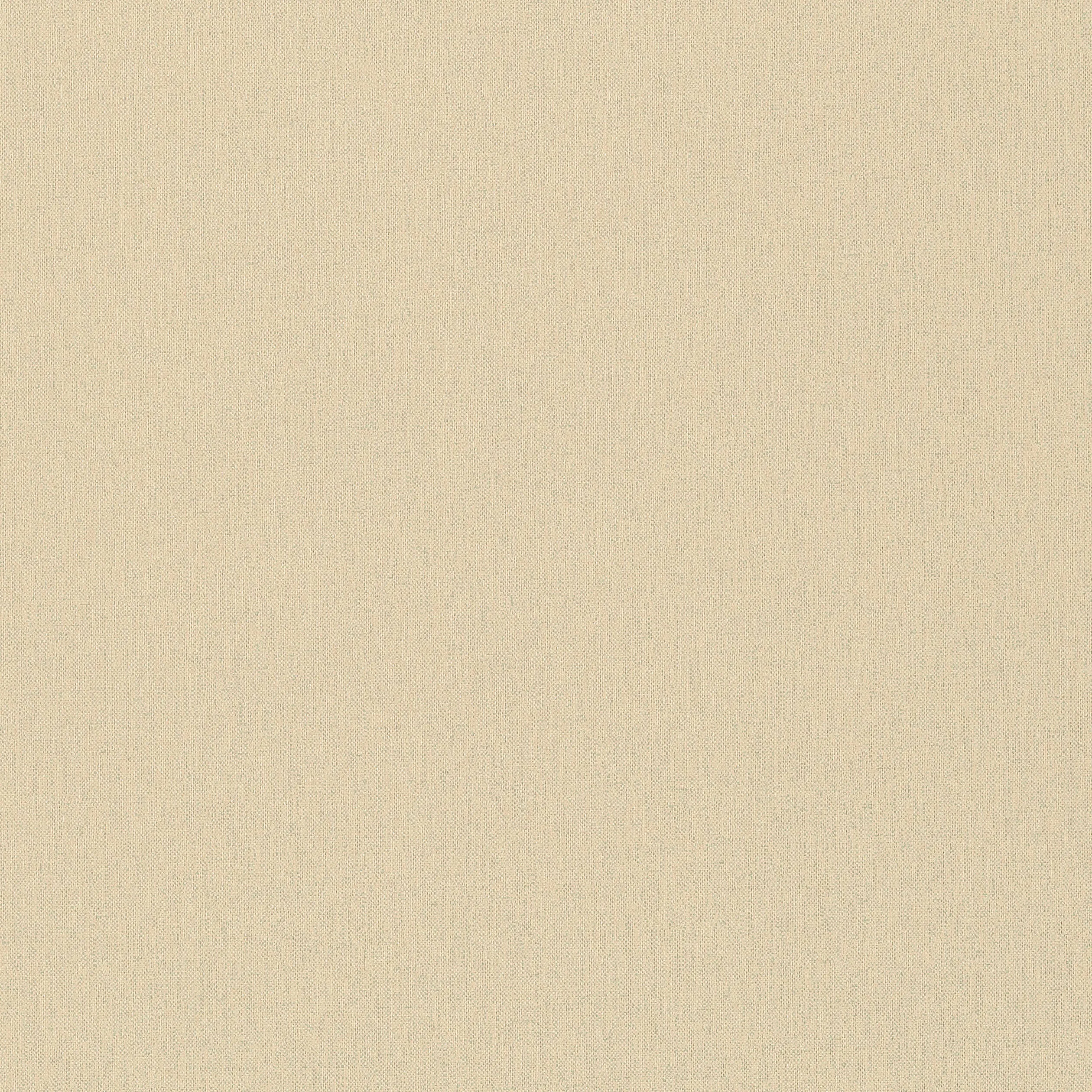 T14129 | Bilzen Linen – Aqua on Cream