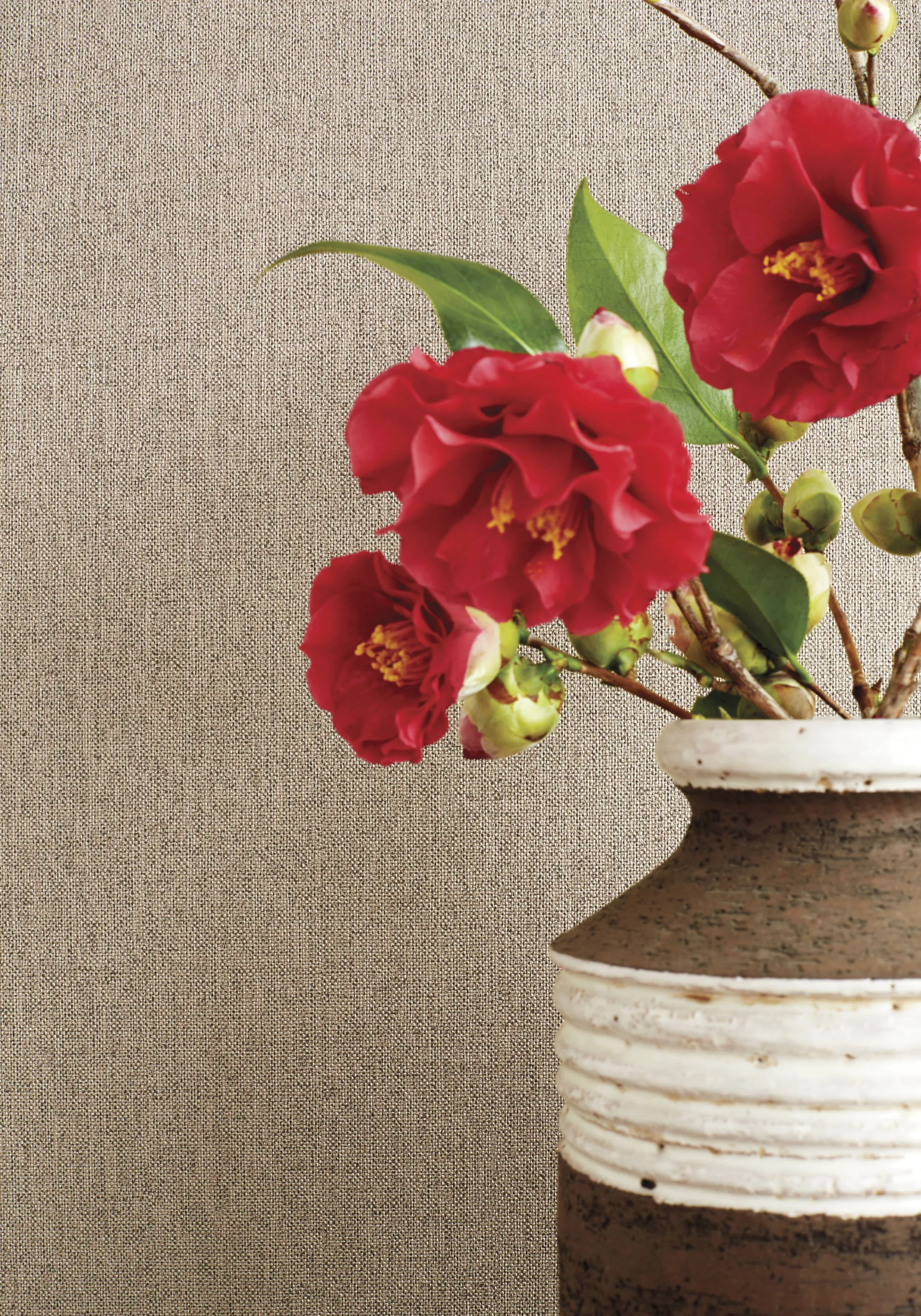 T14122 | Bilzen Linen - Beige Thibaut Bilzen Linen in Beige (T14122)