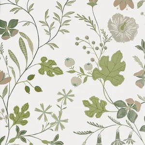 Thibaut Bloom in Sage (T14625)