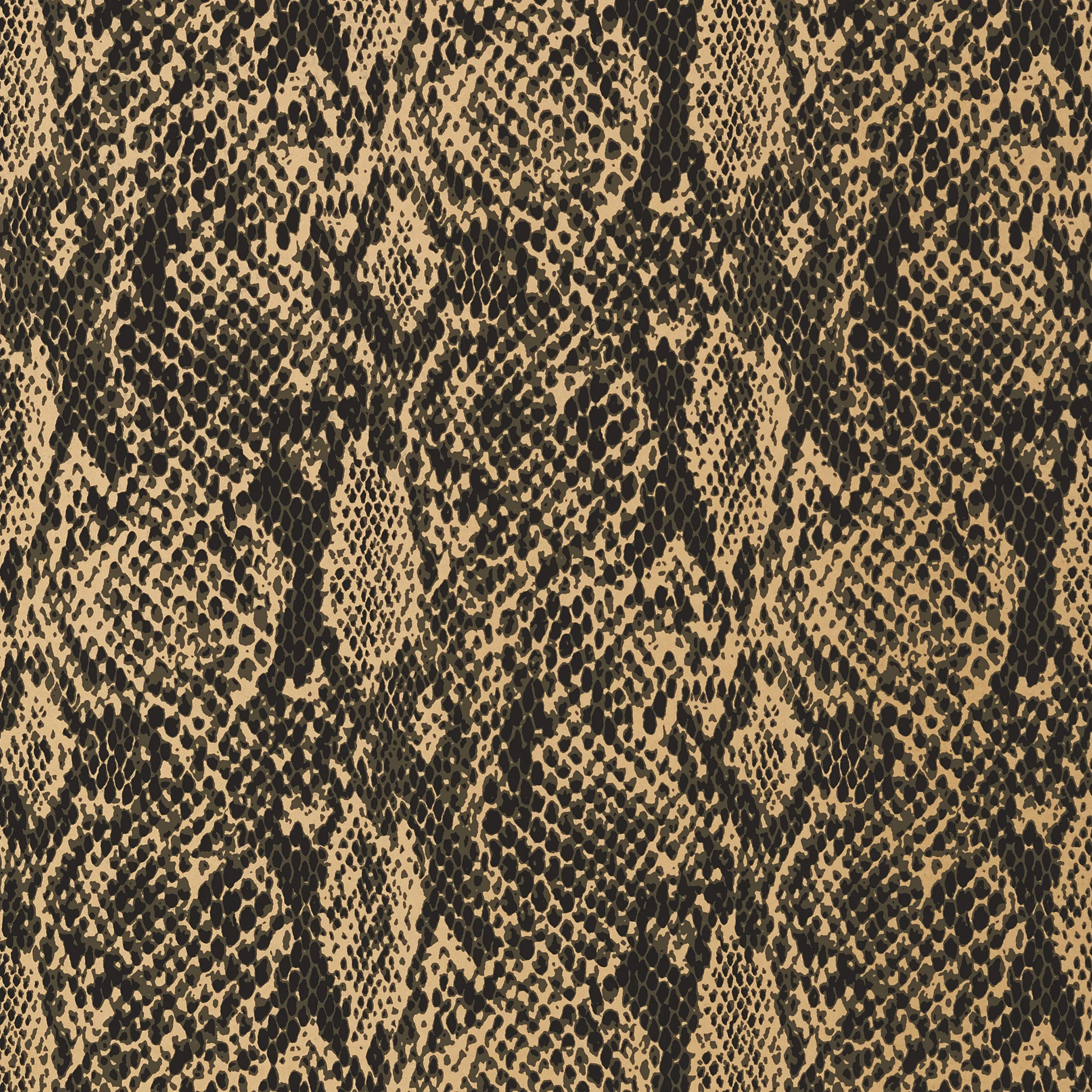 Thibaut Boa in Black on Metallic Gold (T75168)