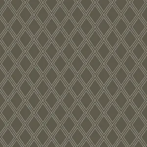 Thibaut Bonaire in White on Charcoal (T88758)