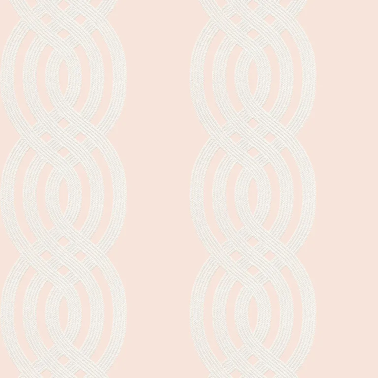 Thibaut Braid in Blush (T10801)