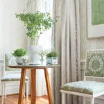 Thibaut Braid in Cream (T10804)