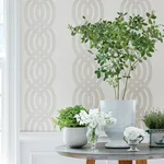 Thibaut Braid in Cream (T10804)