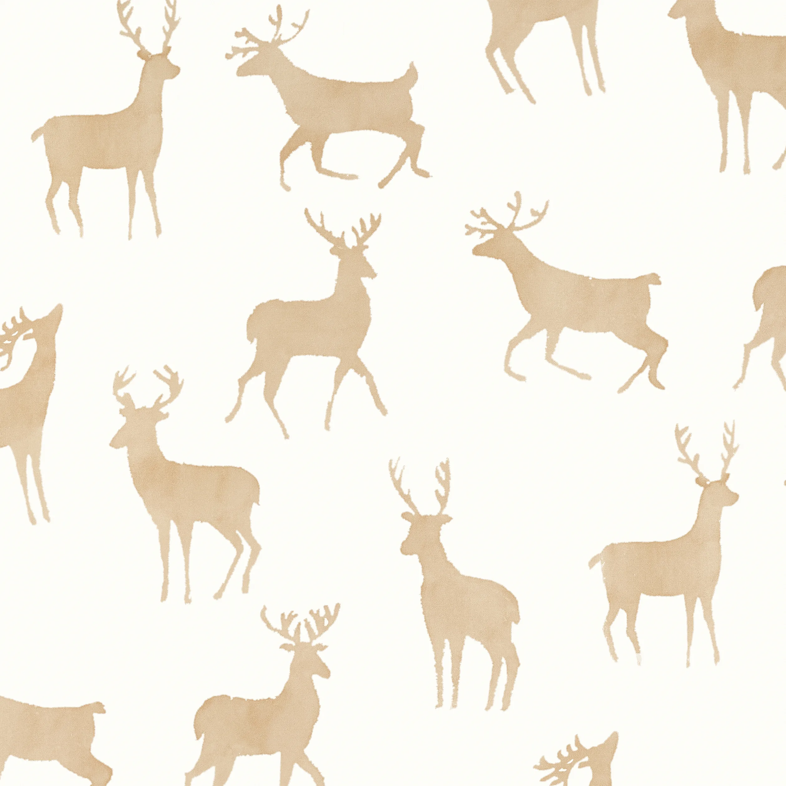 T12065 | Bucks – Birch