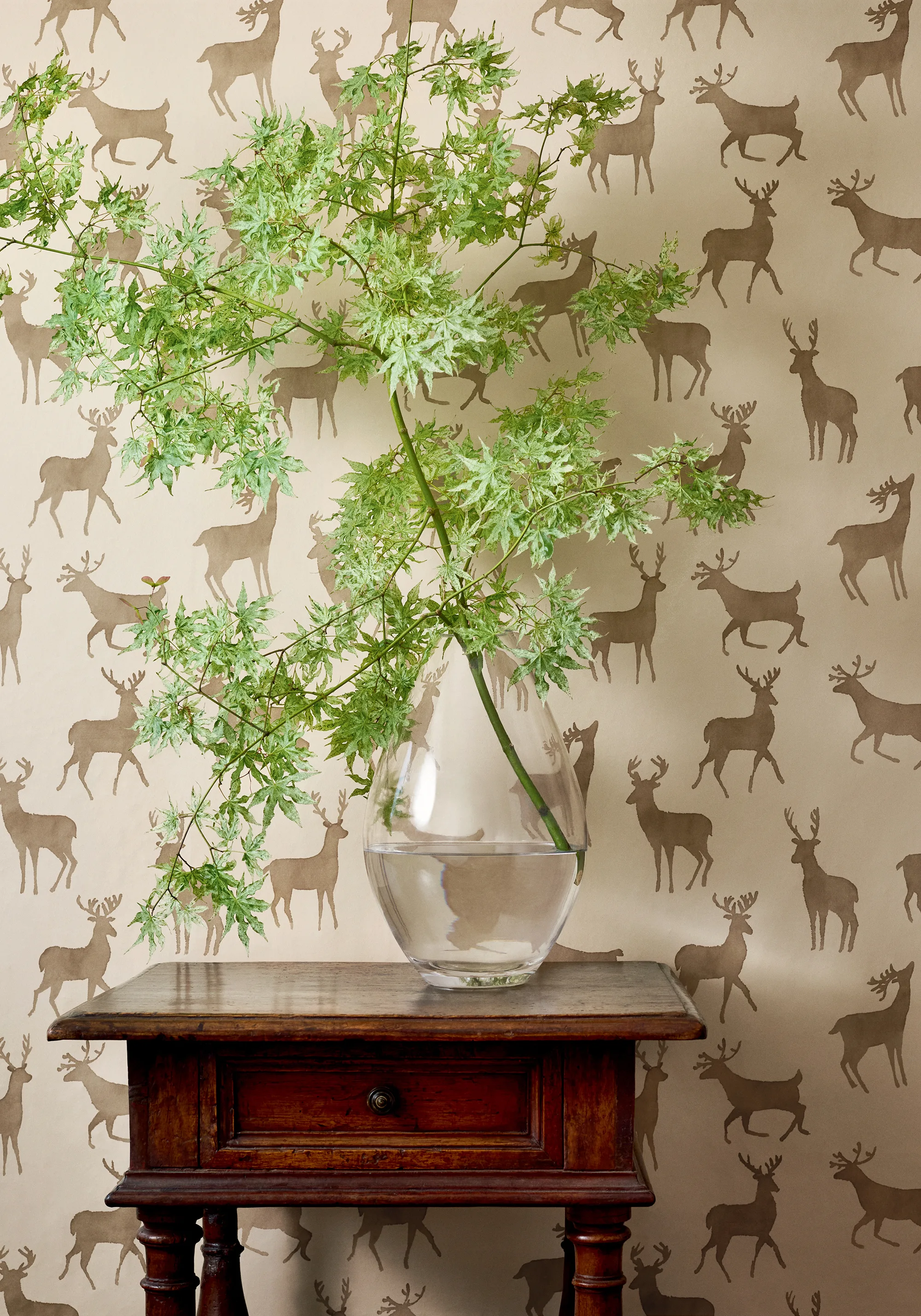 T12063 | Bucks - Camel Thibaut Bucks in Camel (T12063)