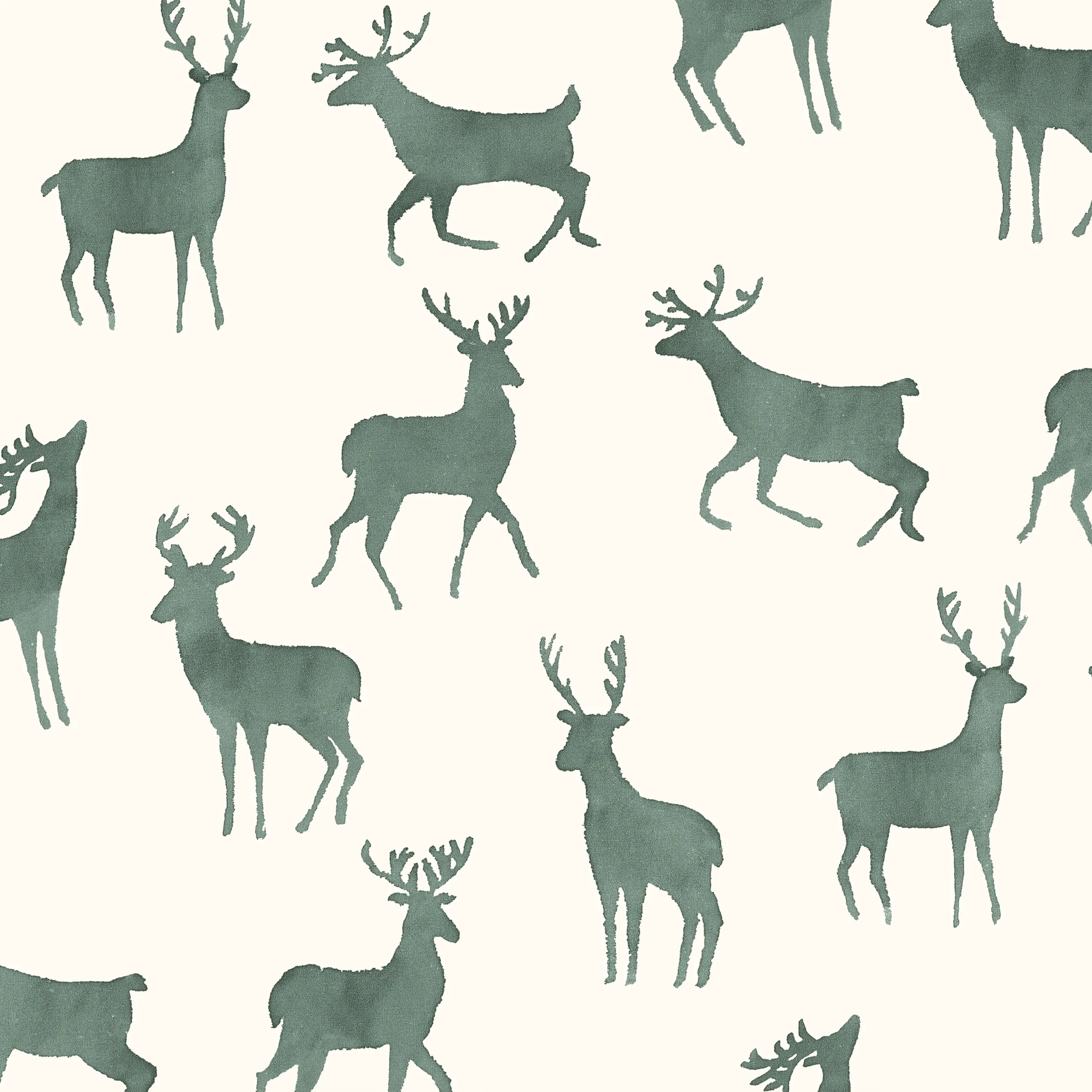 T12062 | Bucks – Wild Sage