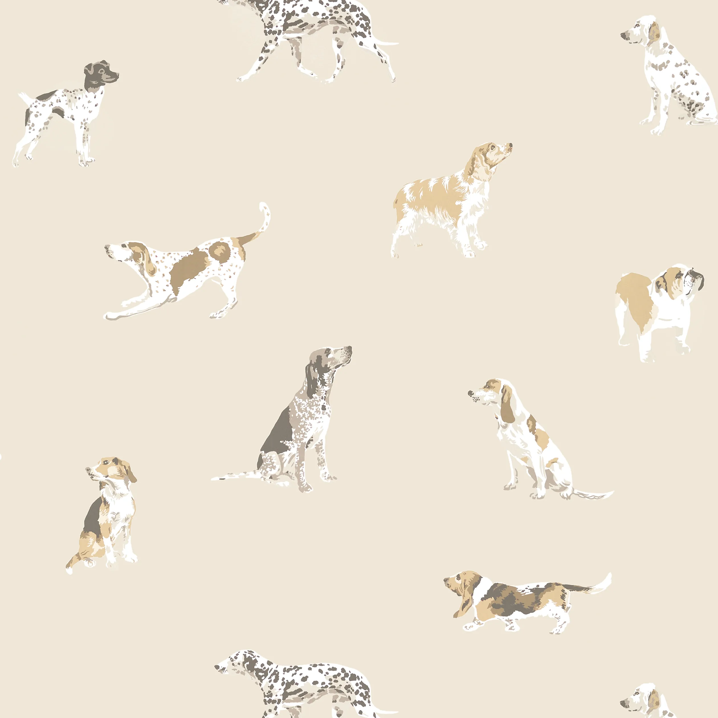 Anna French Buddy in Neutral (AT24601)