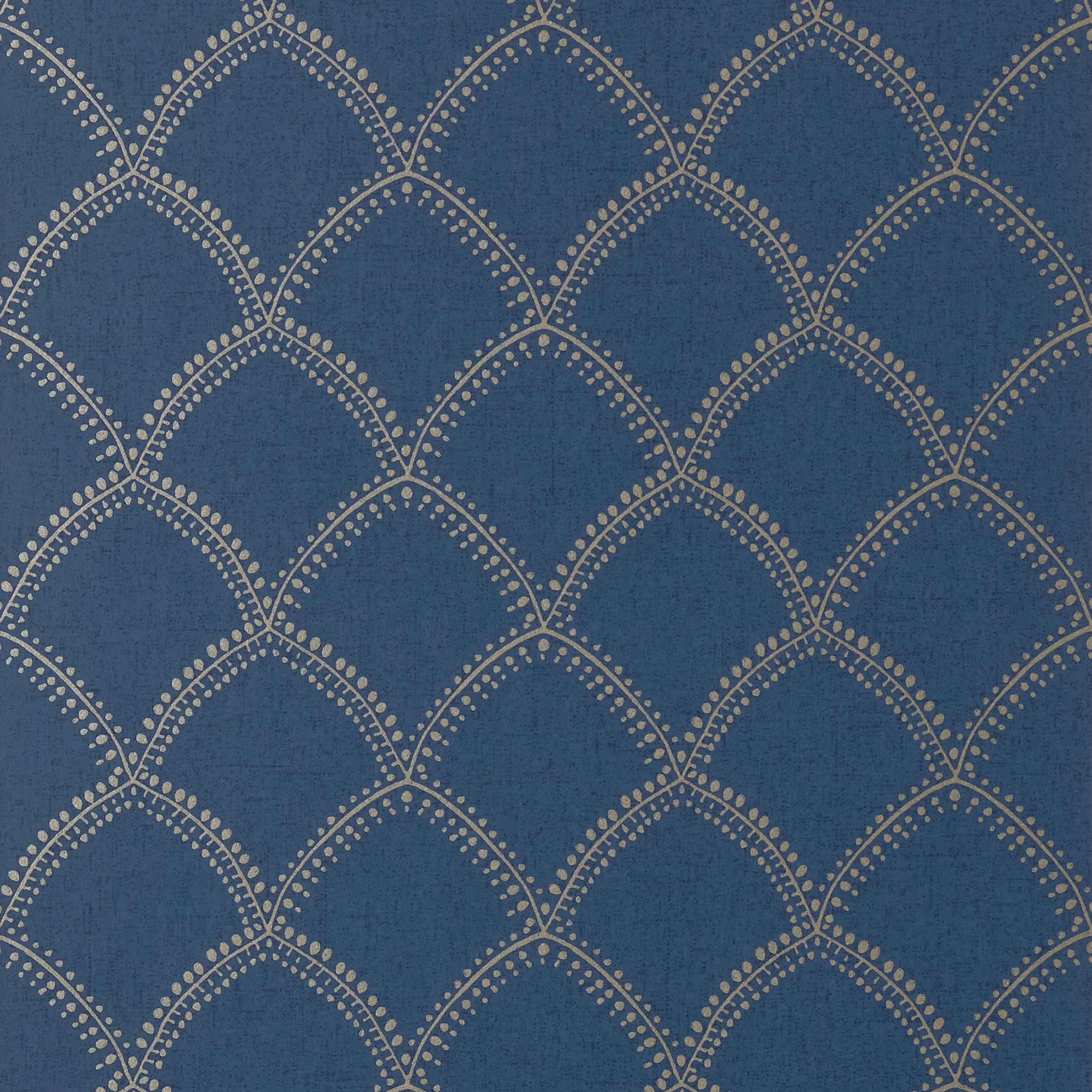 Anna French Burmese in Metallic on Navy (AT7911)