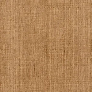 Thibaut Cabo Raffia in Brown (T7073)