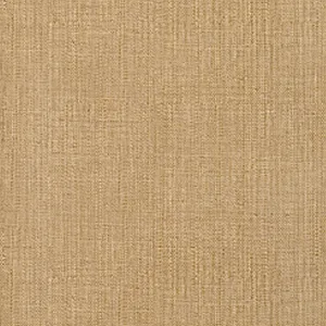 Thibaut Cabo Raffia in Coffee (T7074)