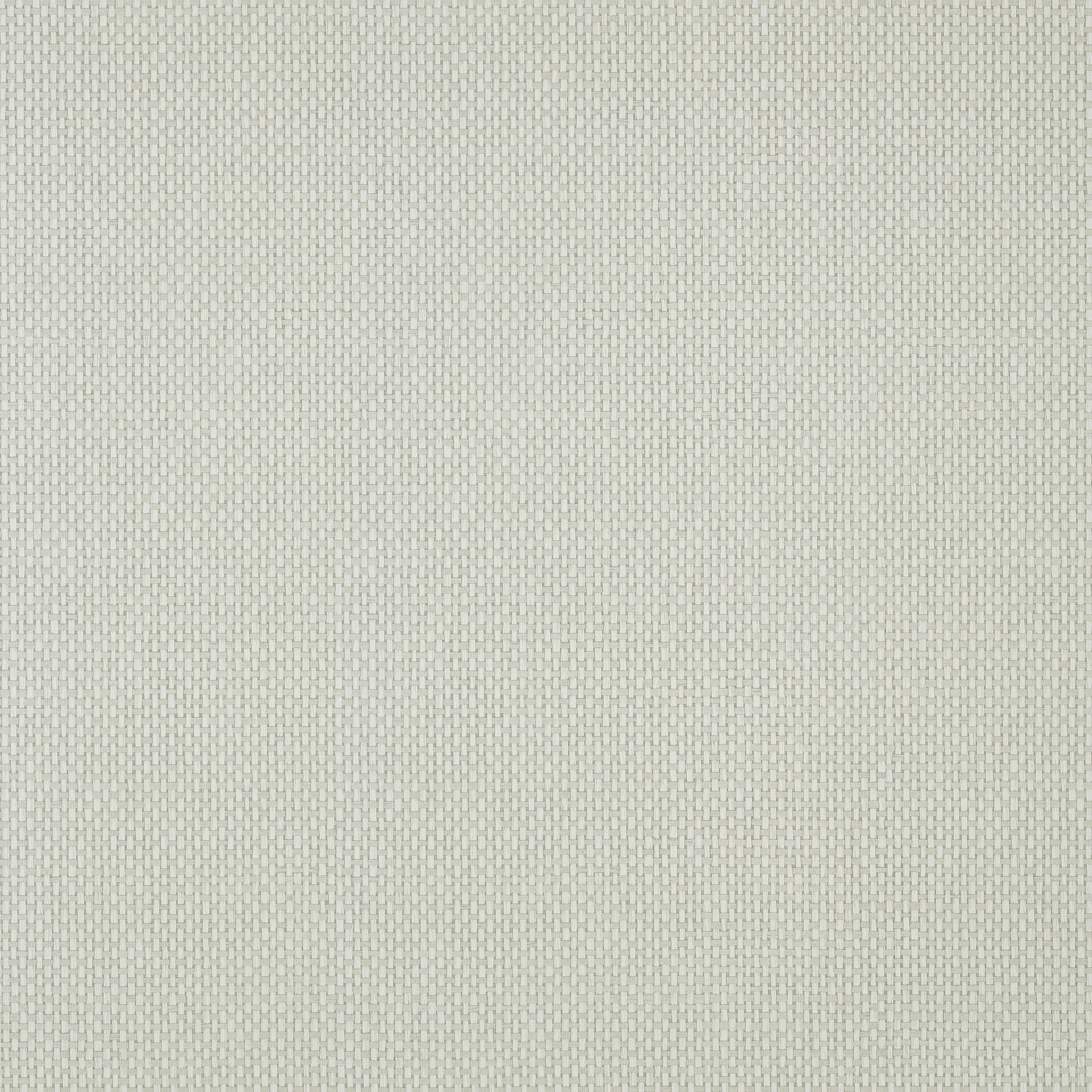 Thibaut Cafe Weave in Putty (T305)