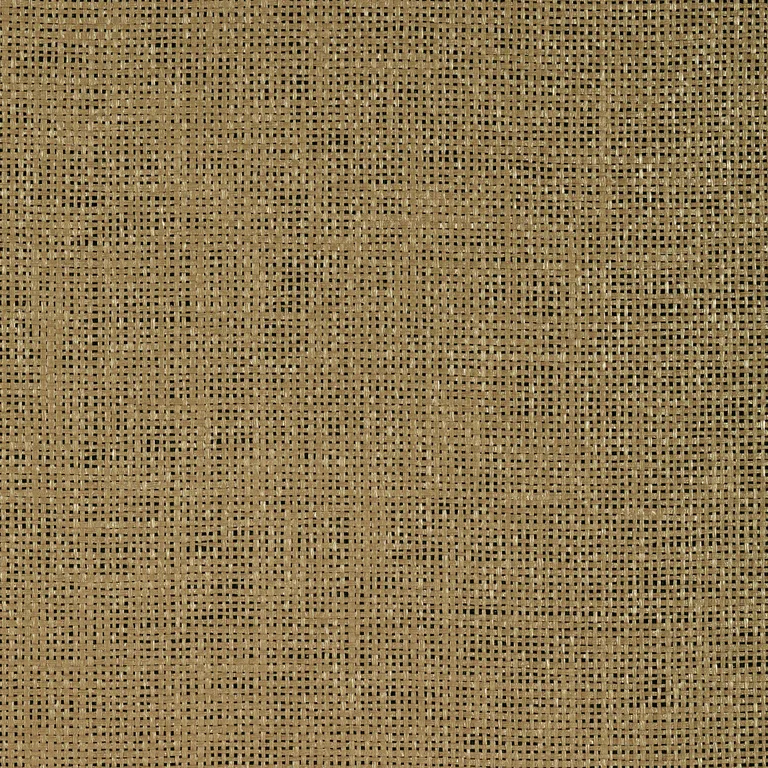 Thibaut Calabasas in Gold (T72796)
