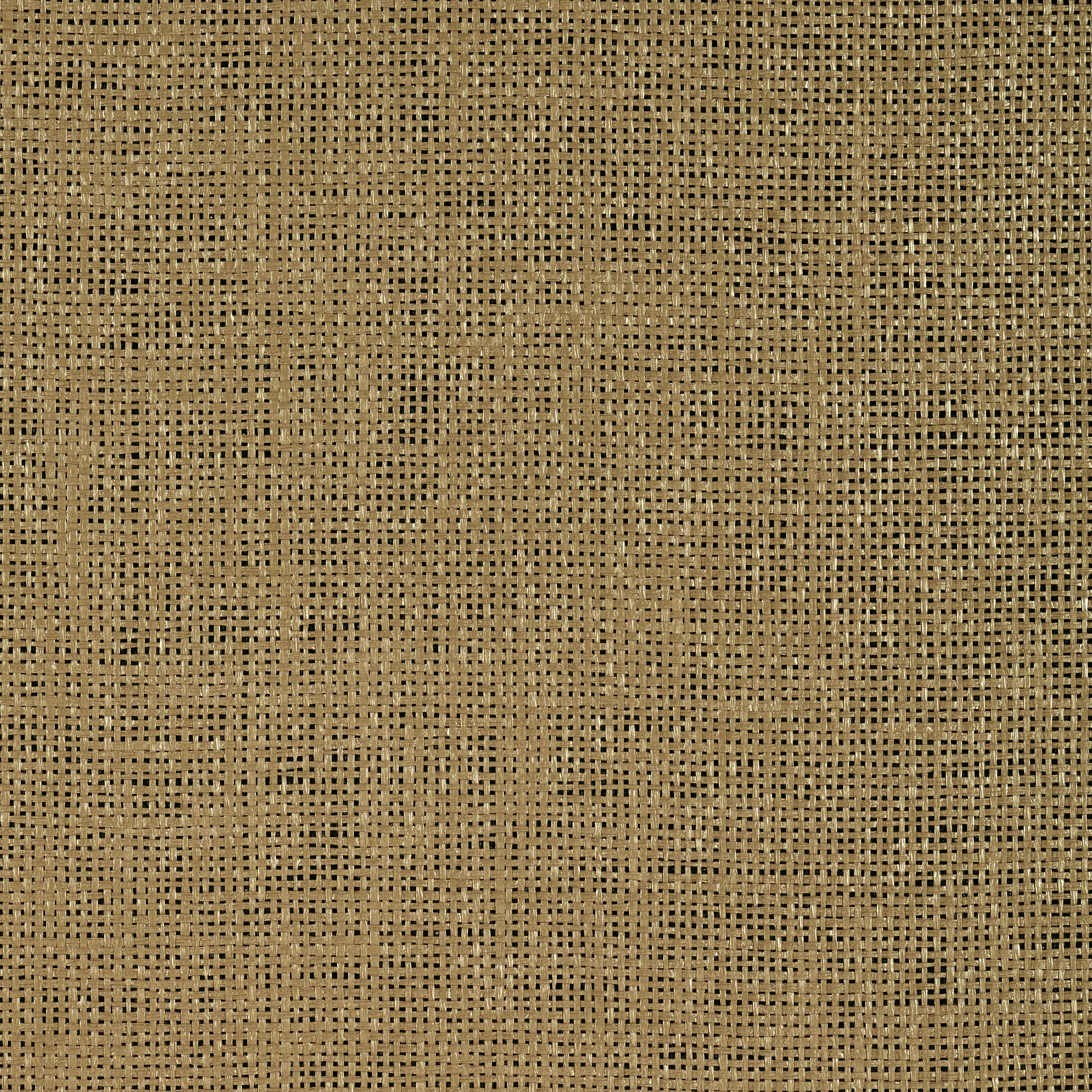 Thibaut Calabasas in Gold (T72796)