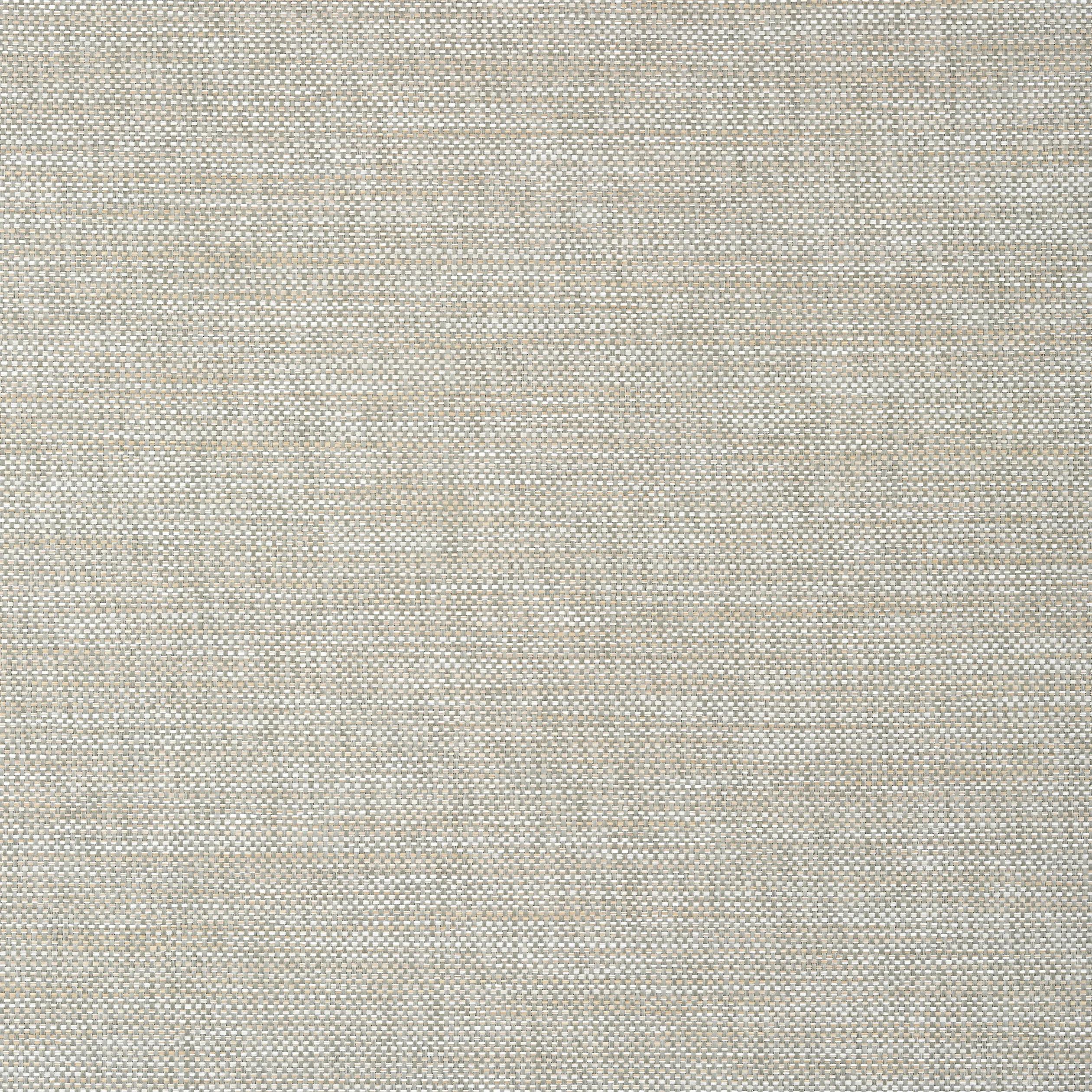 Thibaut Calistoga in Sage (T24119)