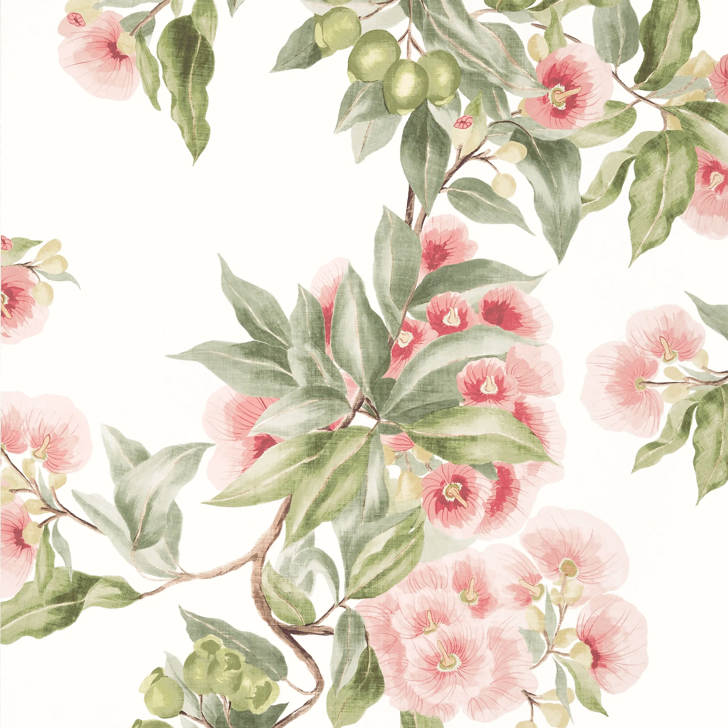 Anna French Camellia Garden in Coral (AT24550)