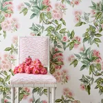 Anna French Camellia Garden in Coral (AT24550)
