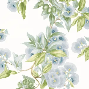 Anna French Camellia Garden in Sky (AT24549)