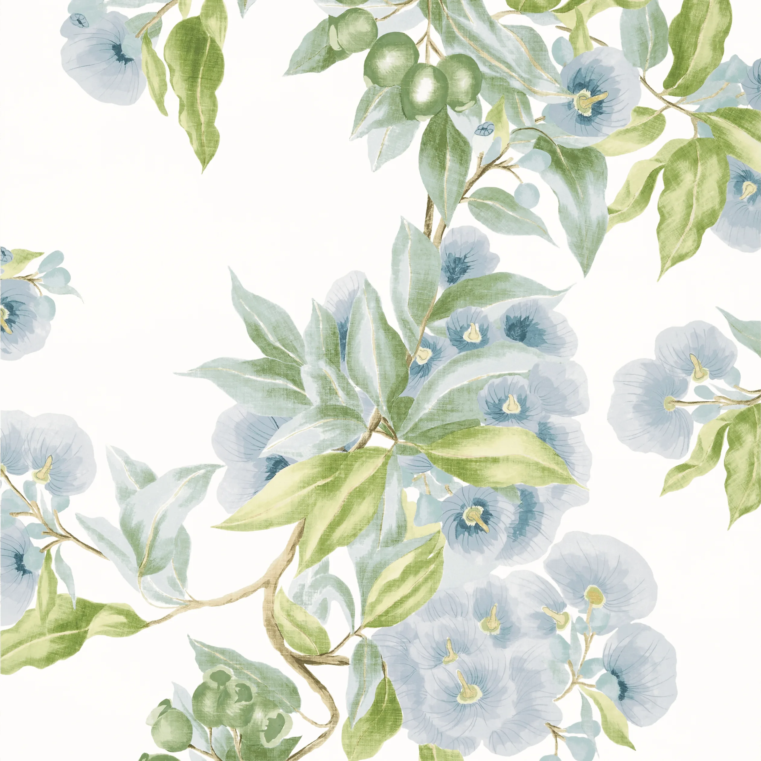 Anna French Camellia Garden in Sky (AT24549)