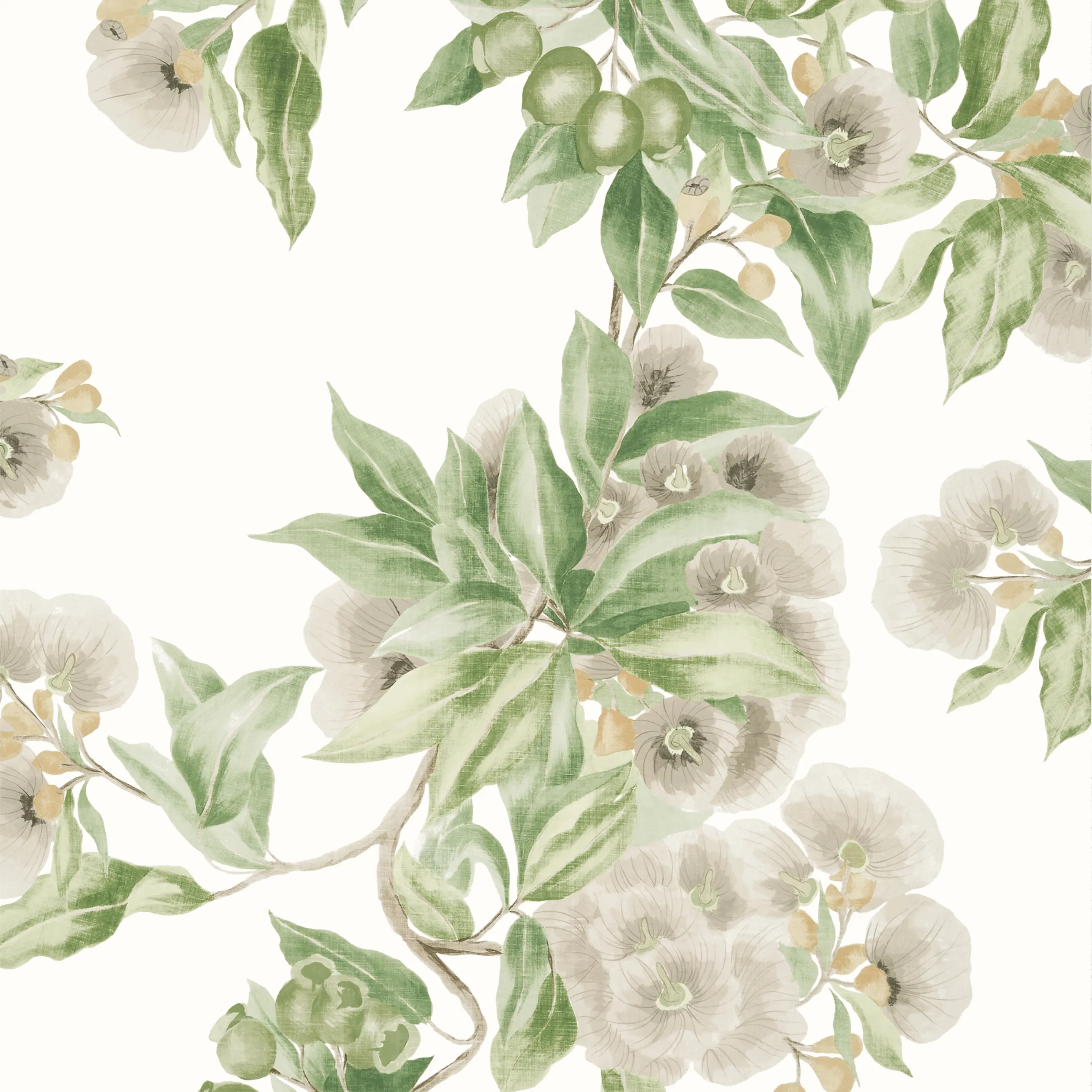 Anna French Camellia Garden in Spring on White (AT24551)
