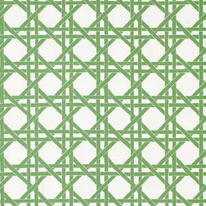 Thibaut Canary Trellis in Green (T15819)