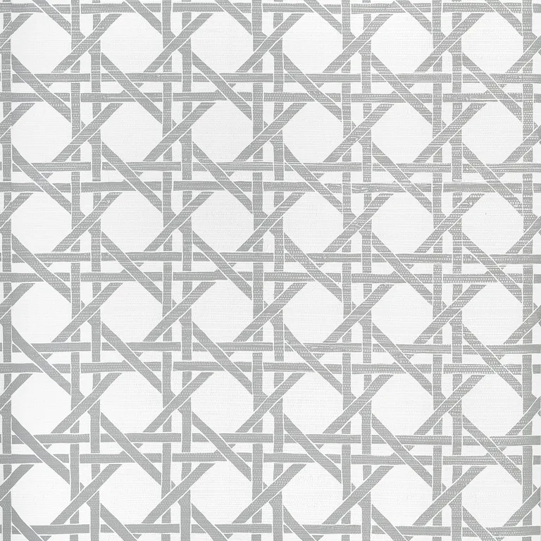 Thibaut Canary Trellis in Metallic Silver (T15822)