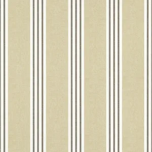 Thibaut Canvas Stripe in Black (T13358)