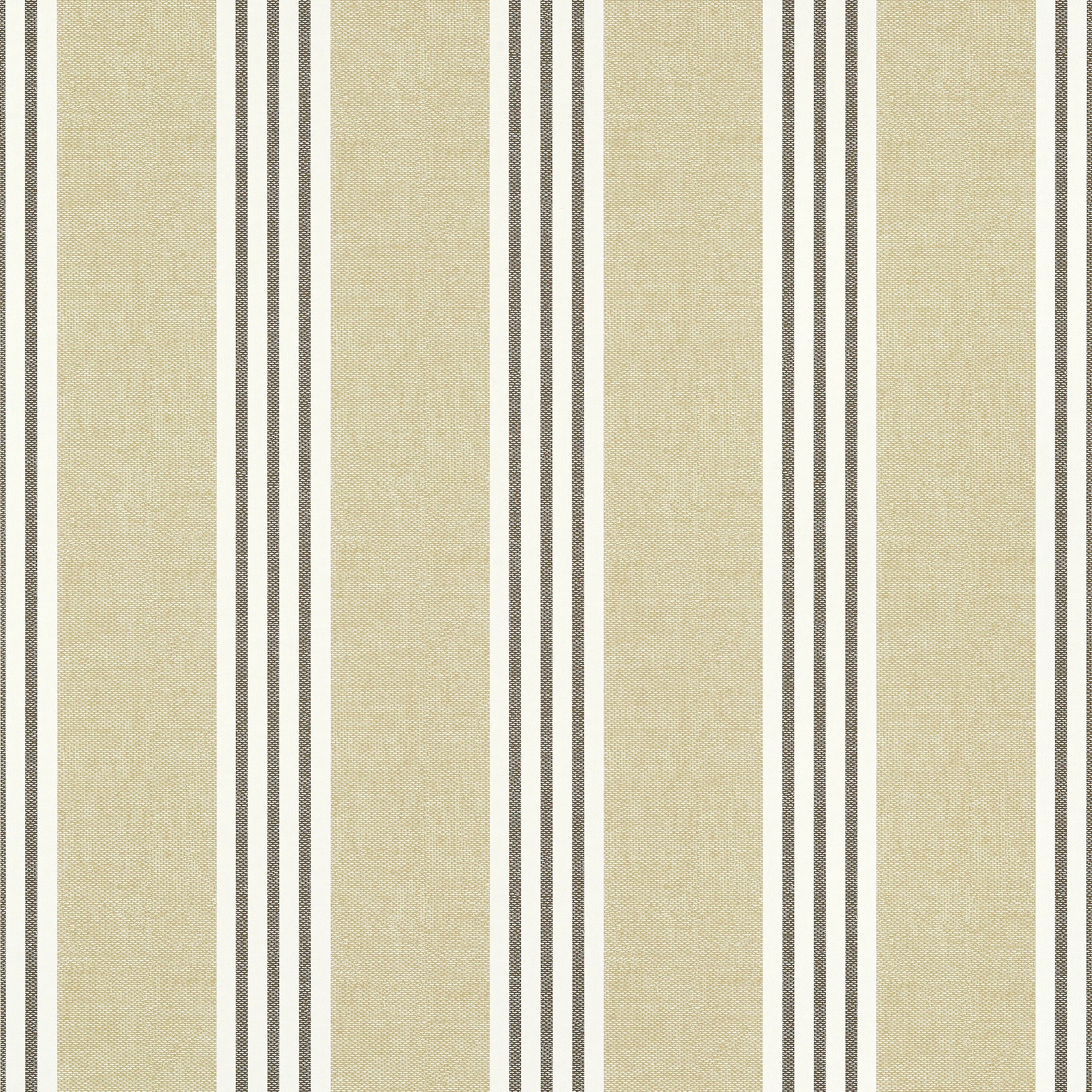 T13358 | Canvas Stripe – Black