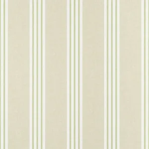 Thibaut Canvas Stripe in Green (T13361)