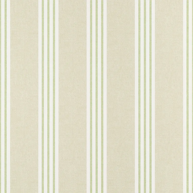 Thibaut Canvas Stripe in Green (T13361)