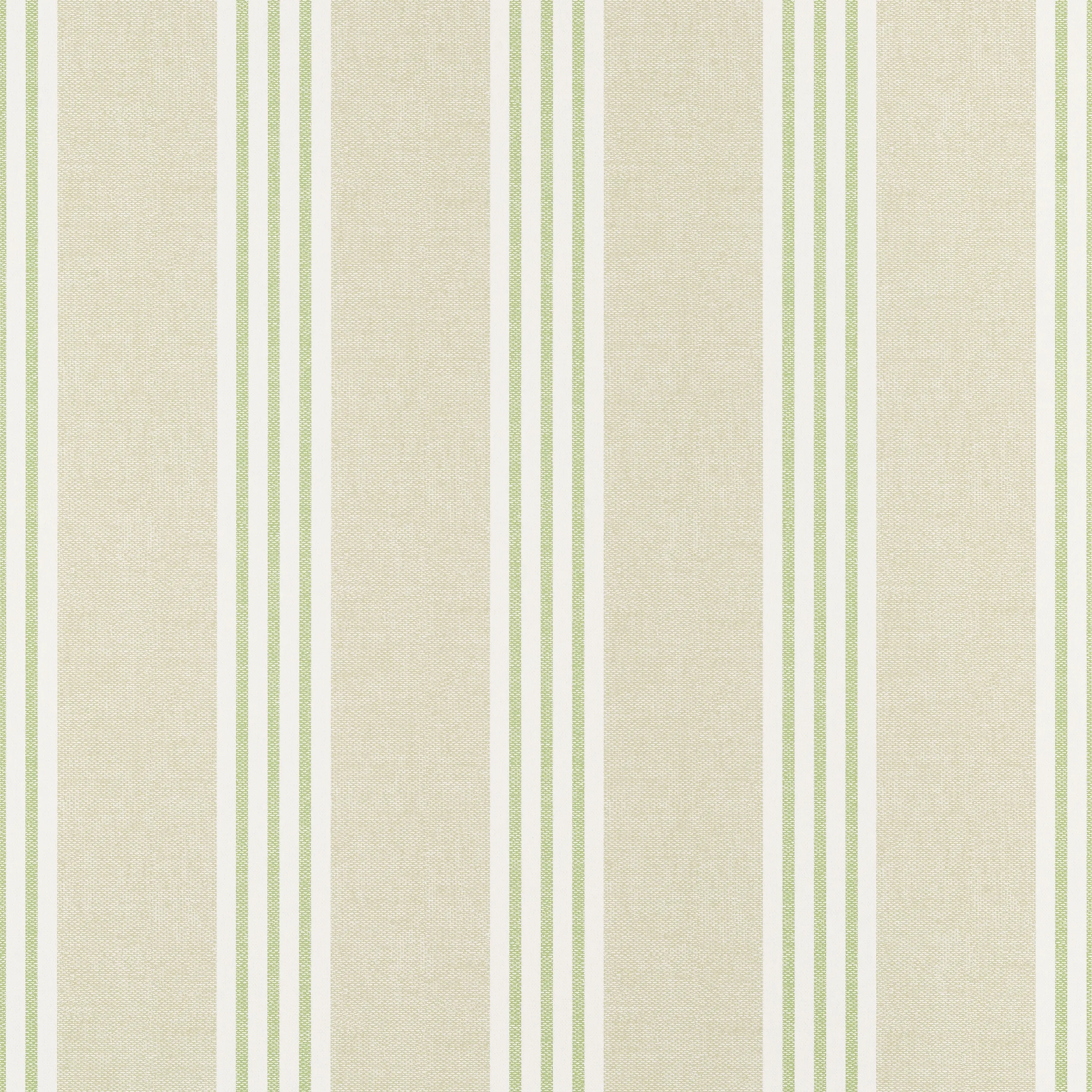 T13361 | Canvas Stripe – Green