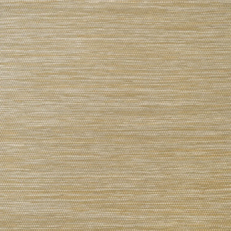Thibaut Cape May Weave in Brown (T27008)