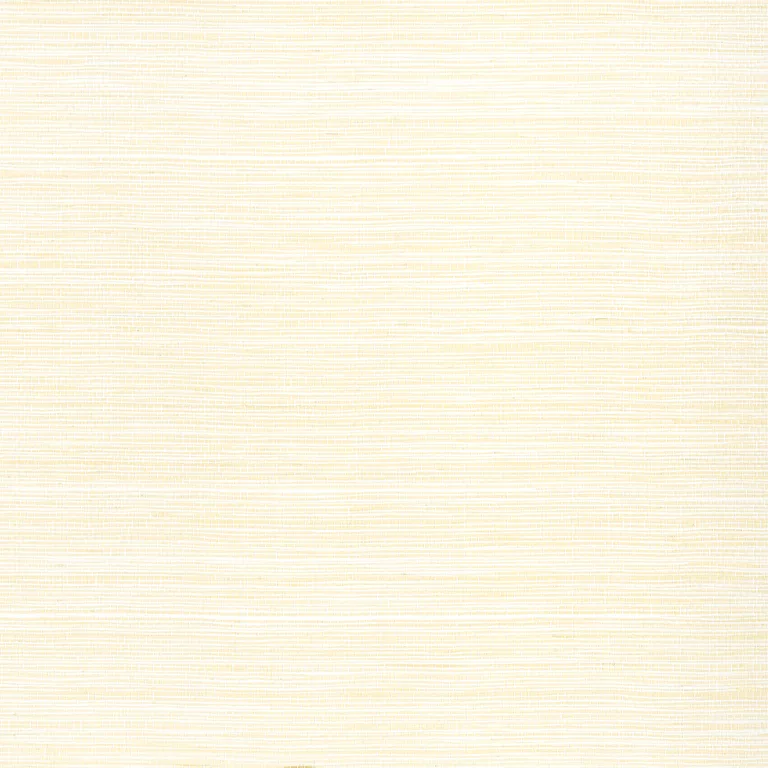 Thibaut Cape May Weave in Natural (T27007)