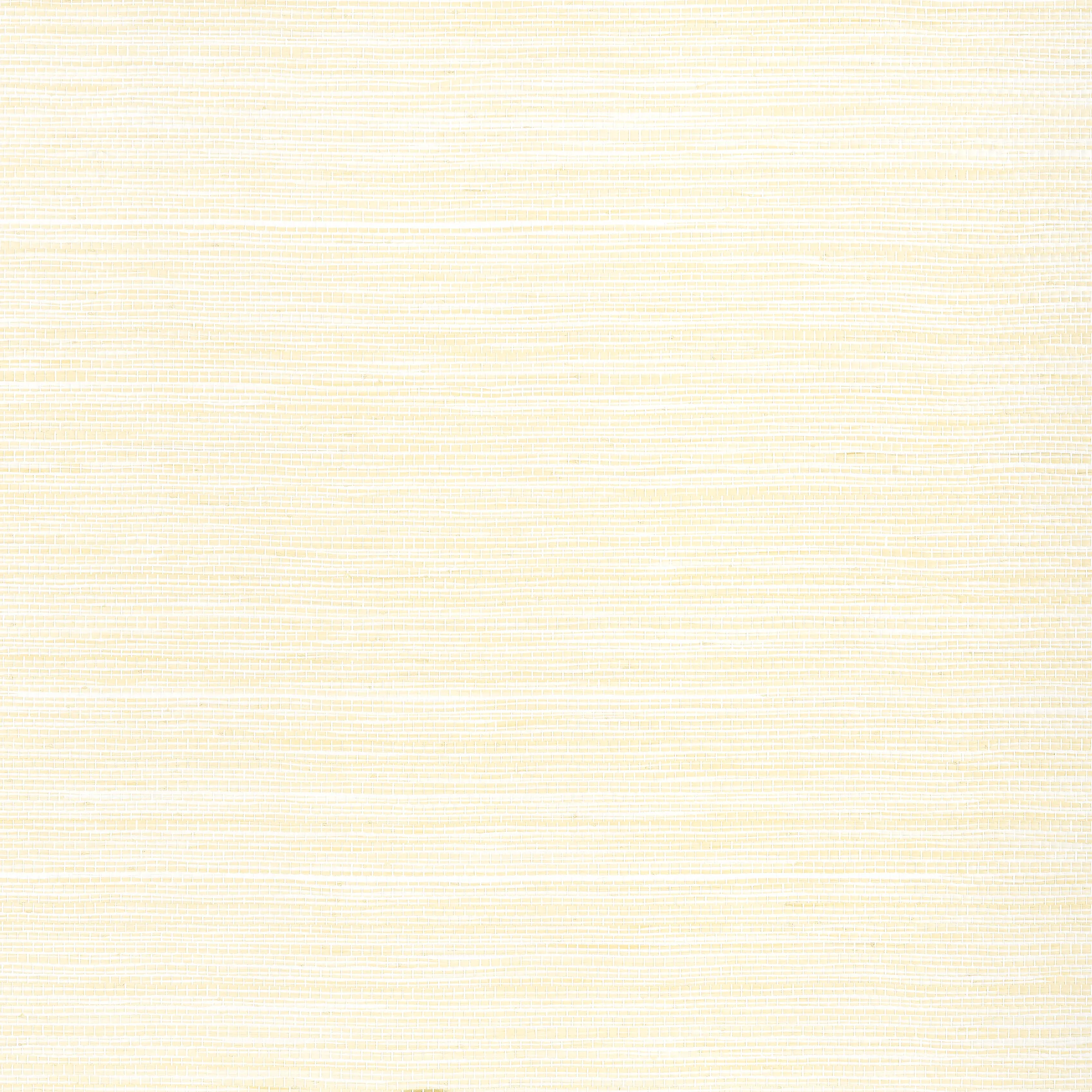Thibaut Cape May Weave in Natural (T27007)