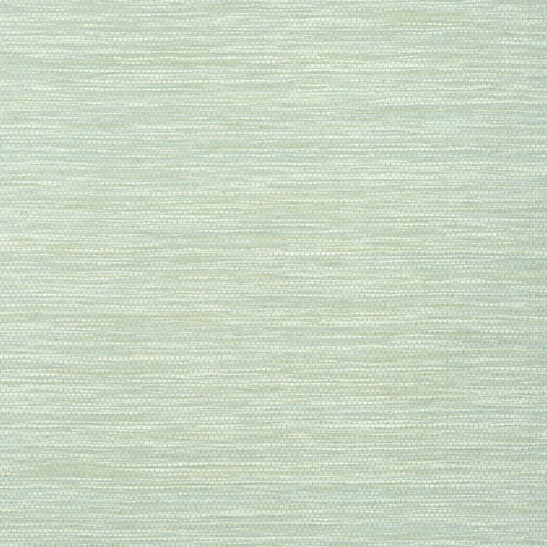 Thibaut Cape May Weave in Sage (T27001)