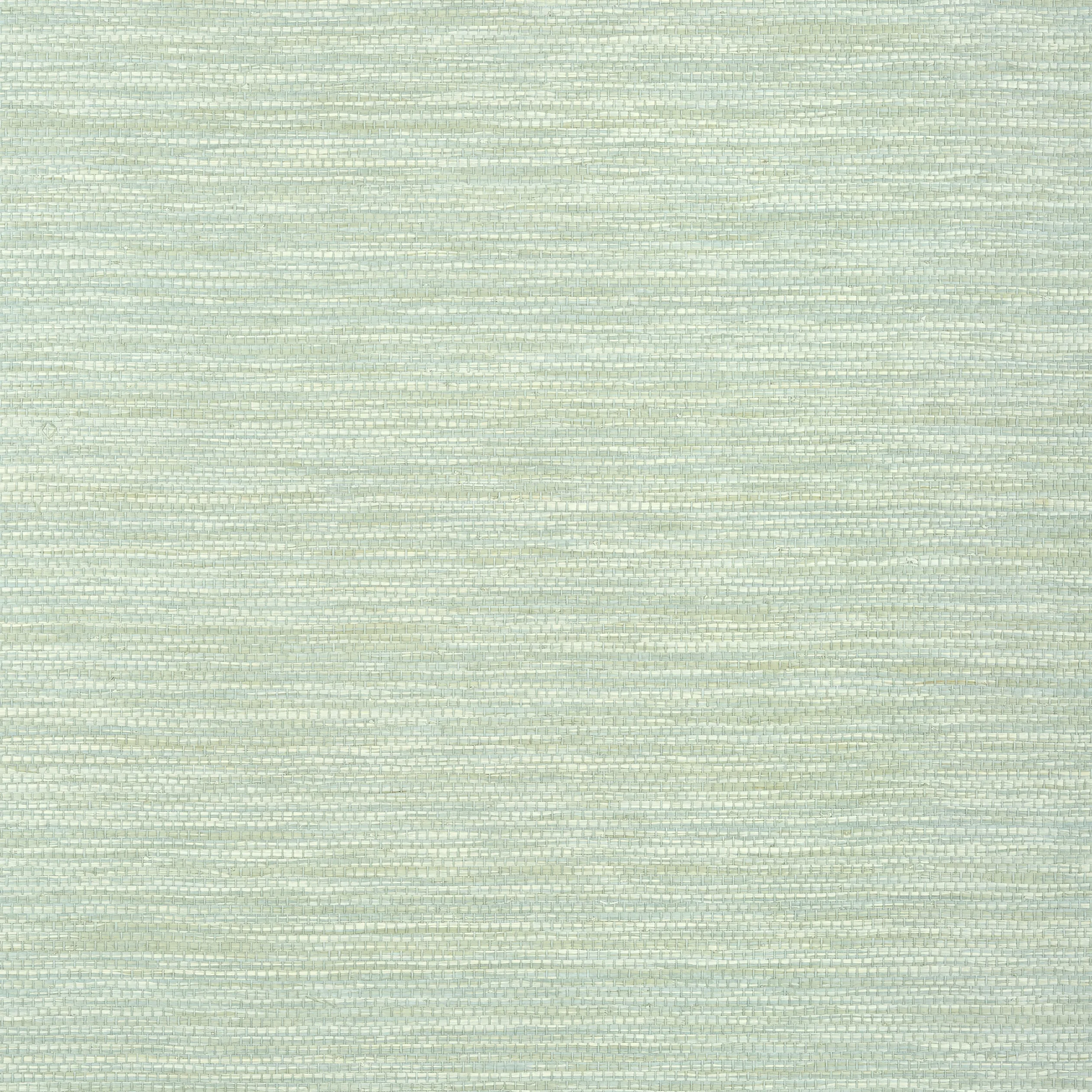 Thibaut Cape May Weave in Sage (T27001)
